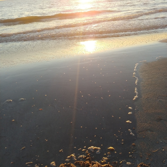 Meet your Posher, Michele vitenbergs - Picture 3 of 7